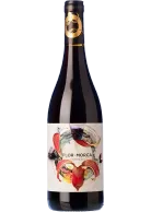 Flor de Morca 2024
