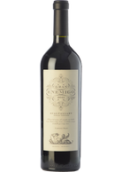 Gran Enemigo Gualtallary Single Vineyard 2021