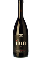 Ilun de Gorka Izagirre Txacoli Tinto 2024