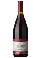 Gottardi Blauburgunder 2017