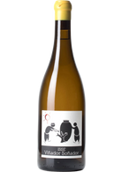 MicroBio Issé "Tinaja" 2022