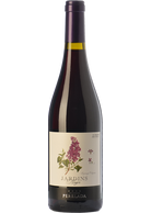 Jardins Negre 2024