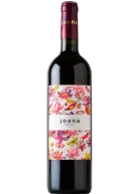 Joana 2025