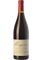 Foillard Morgon Classique 2023