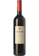 Noster Inicial 2017