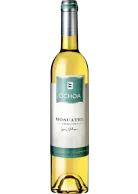 Moscatel Ochoa 2024 (0.5 L)