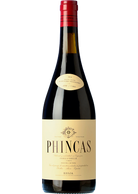 Phincas 2018