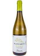 Plantadeta Roure Blanc 2024