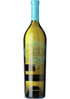 Pazo de San Mauro 2024