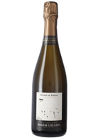 Roger Coulon Esprit de Vrigny 1er C. Brut Nature