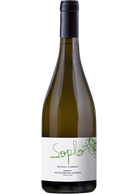 Rafael Cambra Soplo Blanco 2024