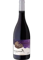 Alsina & Sardà Finca Mas Sallent 2019