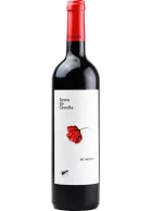 Serra de Cavalls 2024