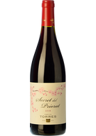 Secret del Priorat 2023