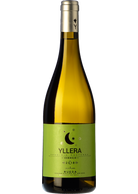 Yllera Verdejo Vendimia Nocturna 2025