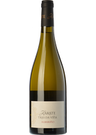 Zárate Tras Da Viña 2024