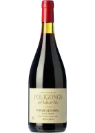Zuccardi Polígonos Paraje Altamira Malbec 2023