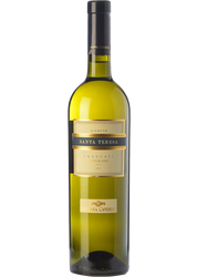 Frascati Fontana Candida DOC Weißwein – Trocken, 6 X 0,75 L Aus Italien