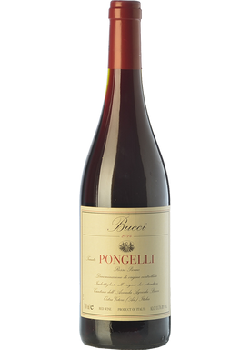 Rosso piceno wine store