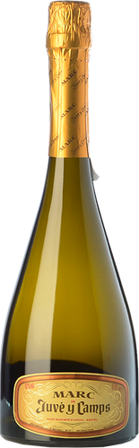 Marc de Juvé y Camps