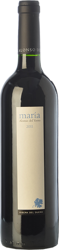 Alonso del Yerro María 2014