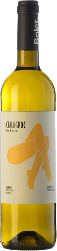 Camagroc 2019
