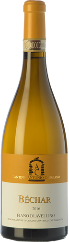 Caggiano Fiano di Avellino Béchar 2019