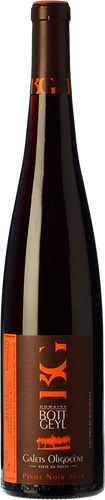 Bott Geyl Pinot Noir Galets Oligocène 2016