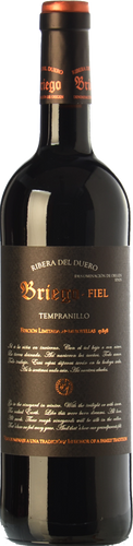 Briego Fiel 2011