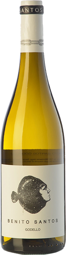 Benito Santos Godello 2019