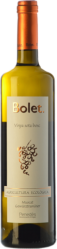 Sota Bosc 2019