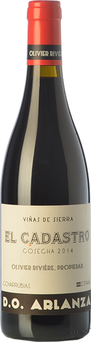 Olivier Rivière El Cadastro 2015
