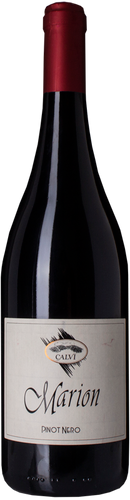Calvi Oltrepò Pavese Pinot Nero Marion 2015