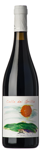Carpentiere Colle dei Grillai 2017