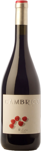 Cámbrico Rufete 2009