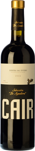 Cair Selección La Aguilera 2015