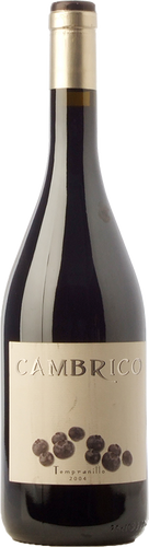 Cámbrico Tempranillo 2009