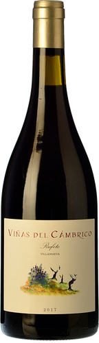 Viñas del Cámbrico Villanueva 2017