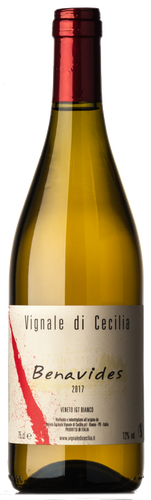 Vignale di Cecilia Benavides 2019