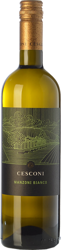 Cesconi Manzoni Bianco Selezione Et. Vigneto 2016