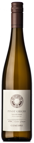 Cesconi Pinot Grigio 2019
