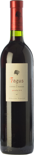 Fagus de Coto de Hayas Selección Especial 2018