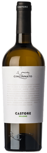 Cincinnato Bellone Castore 2019
