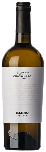 Cincinnato Cori Bianco Illirio 2018