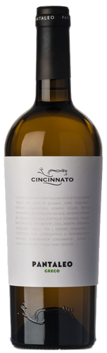 Cincinnato Greco Pantaleo 2018