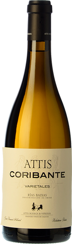 Attis Coribante 2017