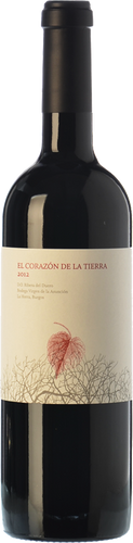 El Corazón de la Tierra 2013