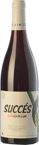 Cuca de Llum 2017