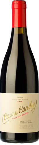 Castro Candaz Finca El Curvado 2018