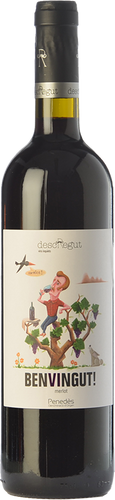 Descregut Benvingut Merlot 2013